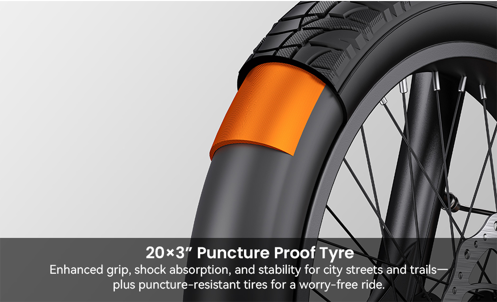 ENGWE L20 3 0 Boost Electric Bike 250W Motor 48V 13 5Ah Battery 20*3 0 inch Tire 135km Max Range Hydraulic Brakes Full Su