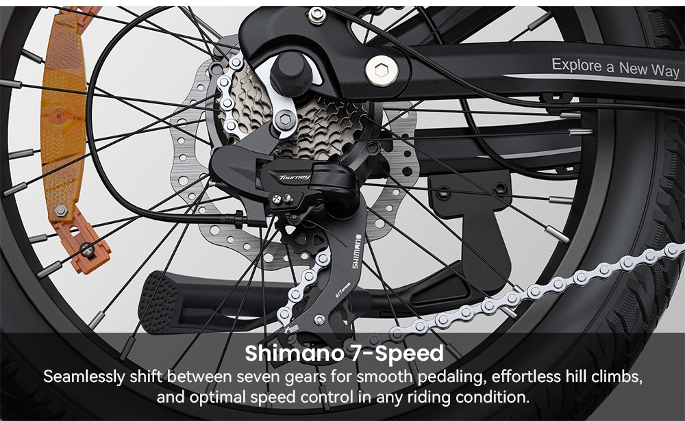 ENGWE L20 3 0 Boost Electric Bike 250W Motor 48V 13 5Ah Battery 20*3 0 inch Tire 135km Max Range Hydraulic Brakes Full Su