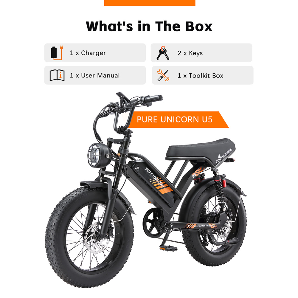 PURE UNICORN U5 Electric Bike 1000W Motor 48V 19 2Ah Battery 20*4 inch Fat Tires 45km/h Max Speed 80km Range Hydraulic Br