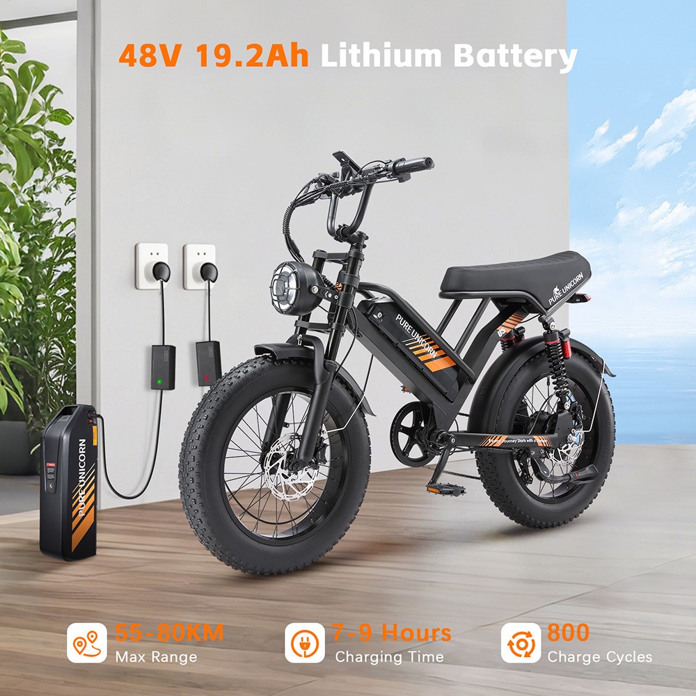 PURE UNICORN U5 Electric Bike 1000W Motor 48V 19 2Ah Battery 20*4 inch Fat Tires 45km/h Max Speed 80km Range Hydraulic Br