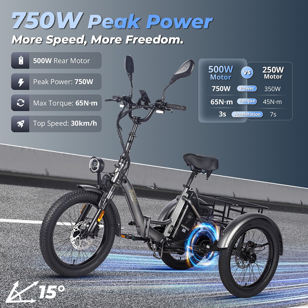 Fafrees F20 Mate Electric Cargo Tricycle EU L1e-B Certified Version 500W Motor 48V 21Ah Battery 20*3 inch Tires 30km/h Max