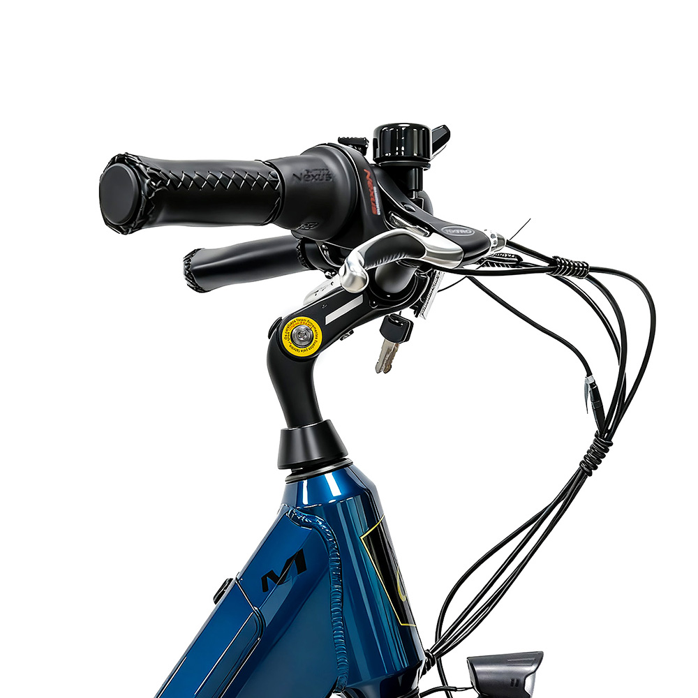 CITY 5 3-18 Electric Bike 250W Motor 36V 14Ah Battery 700*40C Tires 25km/h Max Speed 45km Range Front