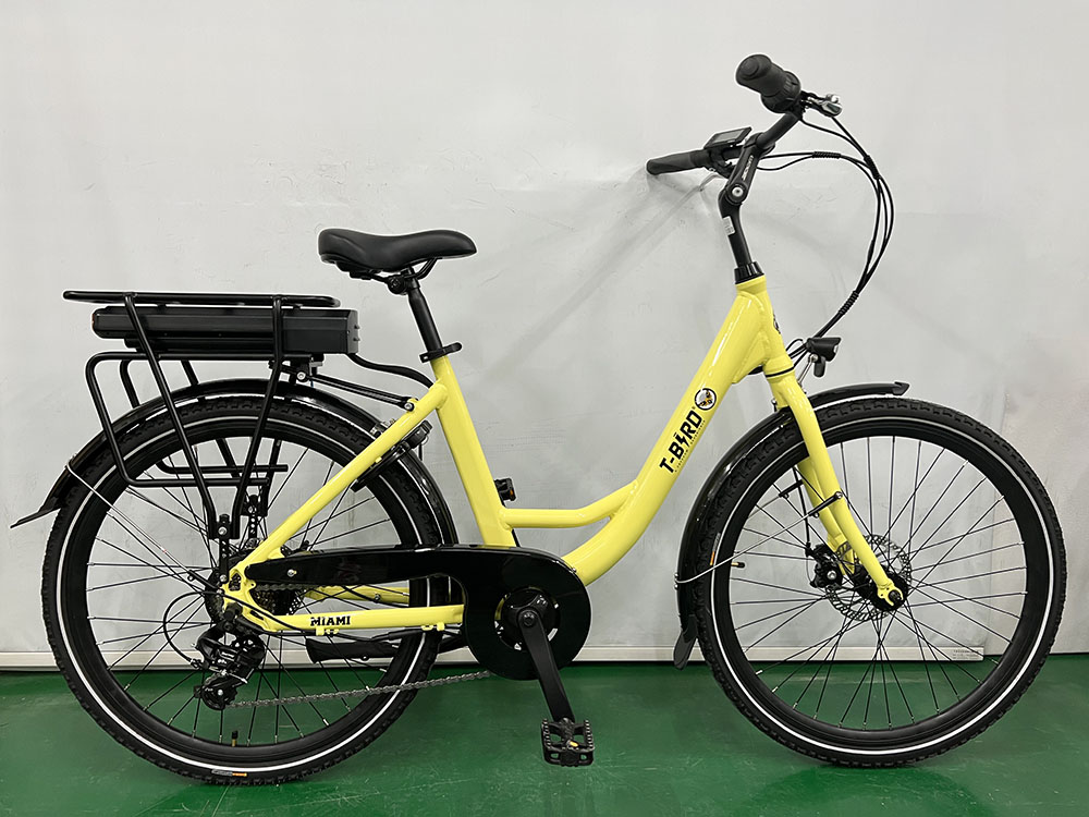Miami-26 Electric Bike  250W Motor  36V 14 4Ah Battery  26*1 95 inch Tires  25km/h Max Speed  45km Range  Front