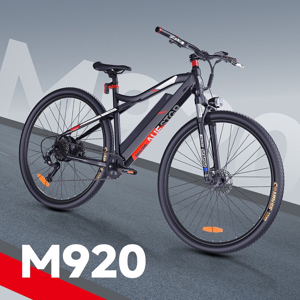 M920 Electric Bike 250W Motor 36V 13Ah Battery 27 5 inch Tires 25km/h Max Speed 60km Range Front