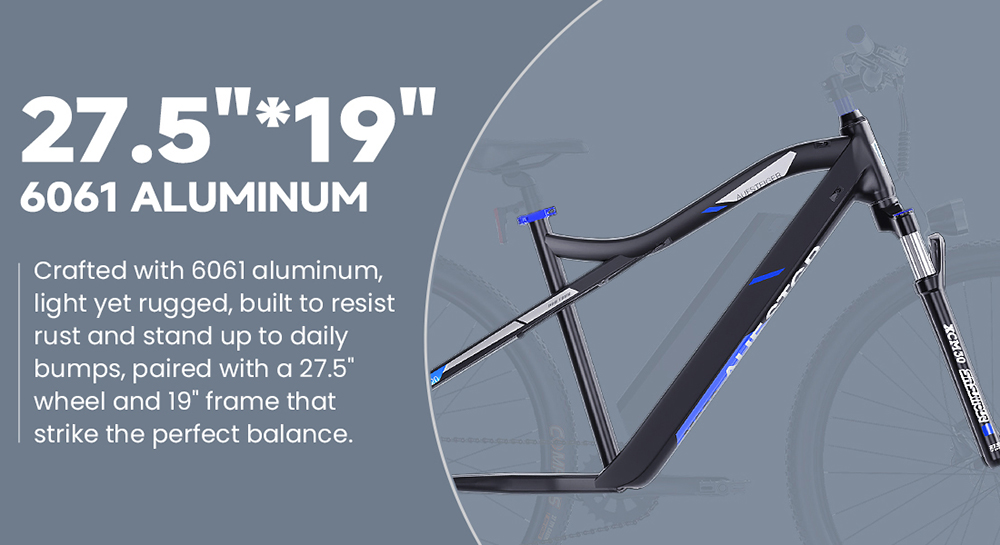 M920 Electric Bike 250W Motor 36V 13Ah Battery 27 5 inch Tires 25km/h Max Speed 60km Range Front
