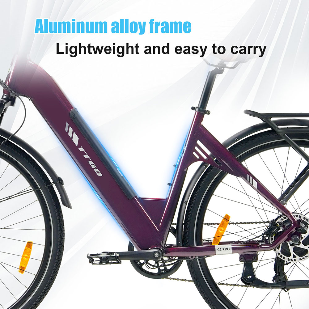 TTGO C3 Pro Electric Bike 250W Motor 36V 20Ah Battery 28 inch Tires 25km/h Max Speed 120km Max Range Hydraulic Disc Brake