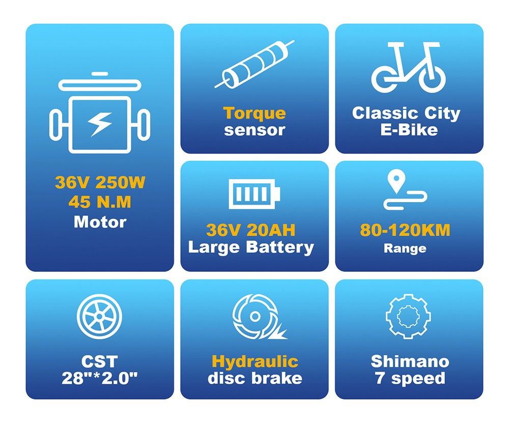 TTGO C3 Pro Electric Bike 250W Motor 36V 20Ah Battery 28 inch Tires 25km/h Max Speed 120km Max Range Hydraulic Disc Brake
