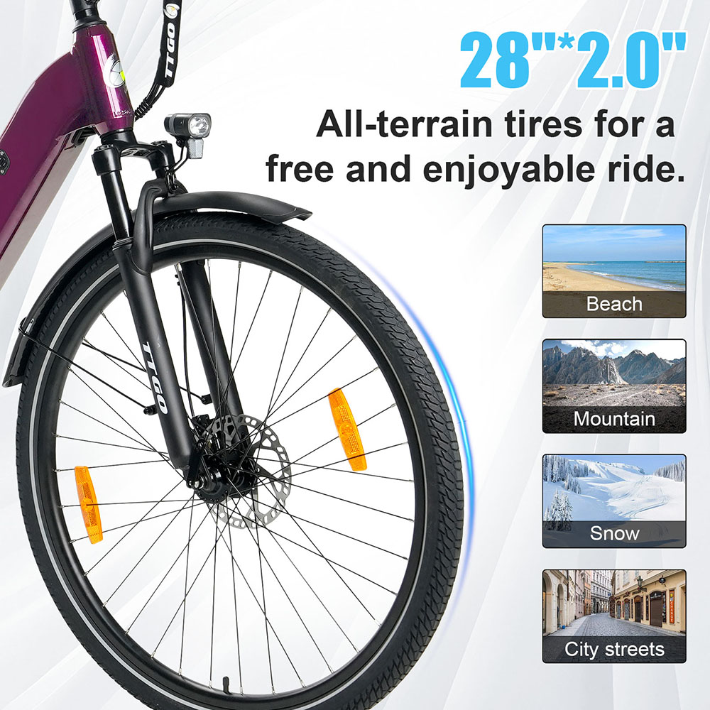 TTGO C3 Pro Electric Bike 250W Motor 36V 20Ah Battery 28 inch Tires 25km/h Max Speed 120km Max Range Hydraulic Disc Brake