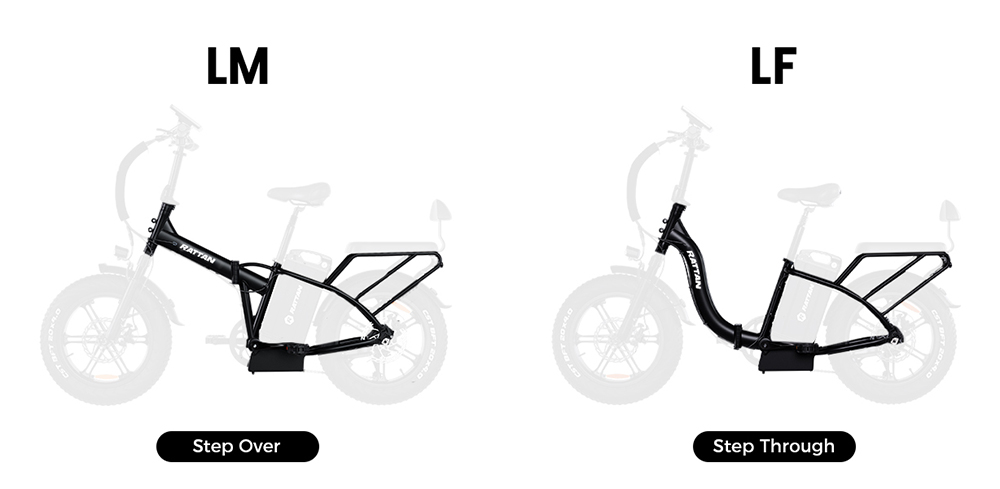 RATTAN LM Ultra Electric Bike  1000W Motor  48V 40 5Ah Battery  20*4 inch Tires  50km/h Max Speed  190km Max Range  Hydraulic B
