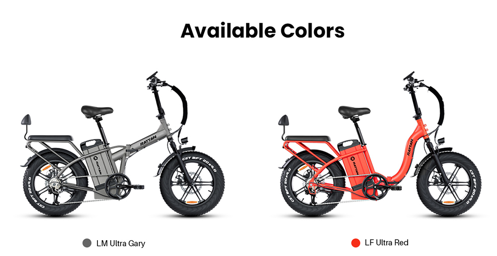 RATTAN LM Ultra Electric Bike  1000W Motor  48V 40 5Ah Battery  20*4 inch Tires  50km/h Max Speed  190km Max Range  Hydraulic B