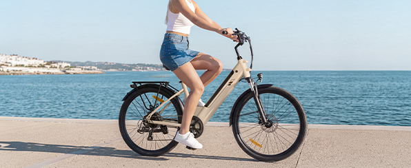 Touroll J2 ST Electric Bike, 250W Motor, 36V 15.6Ah Battery, Dual Front Suspension Fork, 100km Range - Grey
